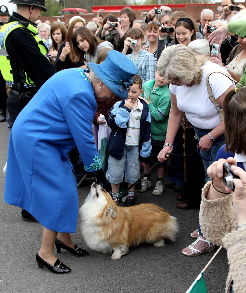 Illustration for article titled The Queen Is Done Collecting Corgis, Wants No Corgi Left Behind